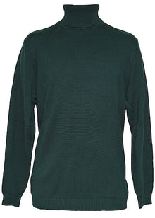 Load image into Gallery viewer, Lavane Turtleneck Sweater # '501-T'