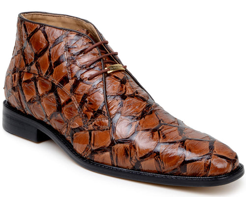 Belvedere 'Ciro' Catalog
