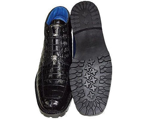 Belvedere 'Gallardo' Catalog - Alligator World