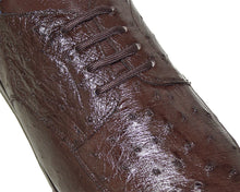 Load image into Gallery viewer, Belvedere Lace-Up Ostrich Sneaker 'Remo'
