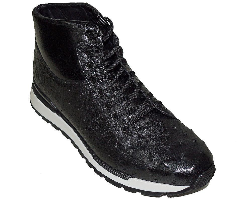 Belvedere 'Alexander' - Alligator World