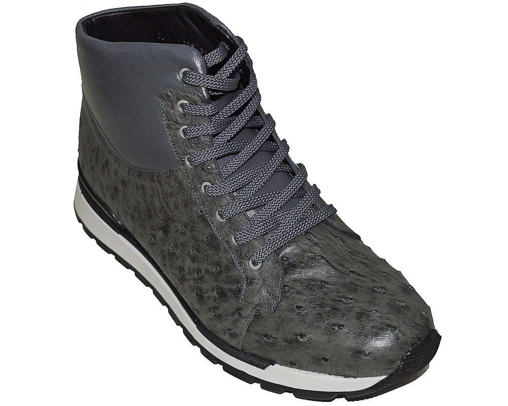 Belvedere 'Alexander' - Alligator World