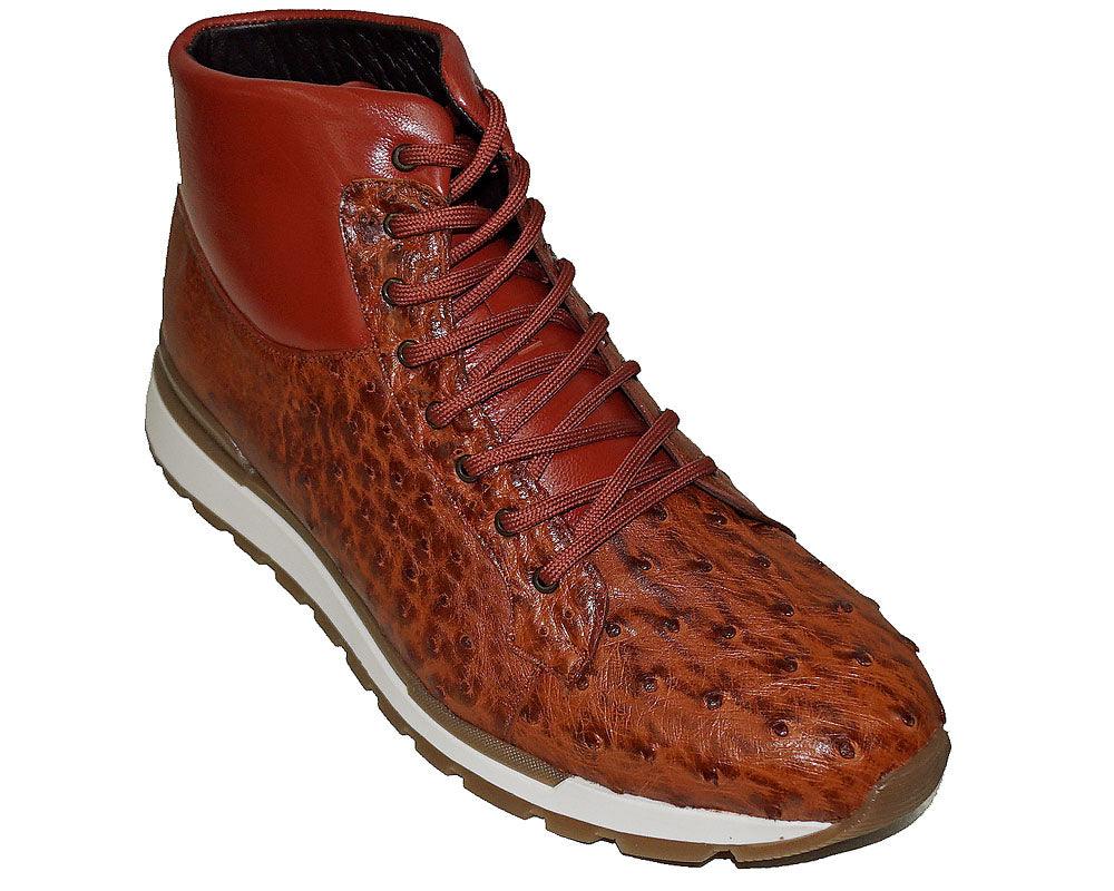 Belvedere 'Alexander' Belvedere Catalog