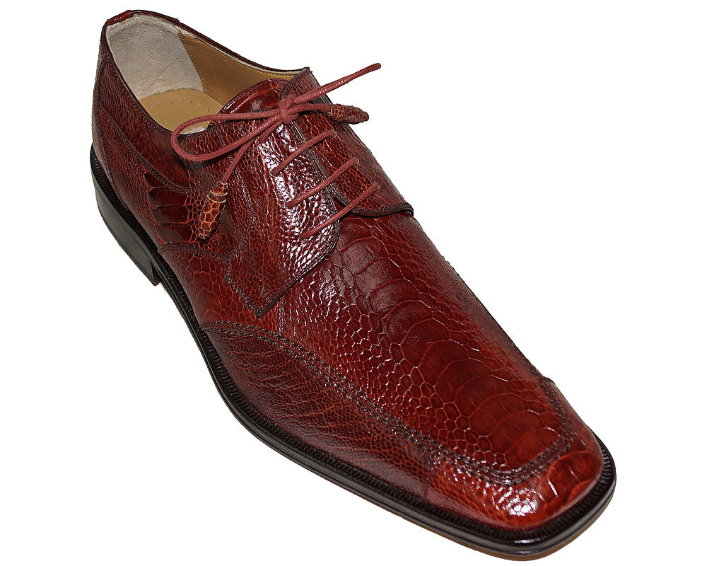 David Eden Shoes – Alligator World display picture 1
