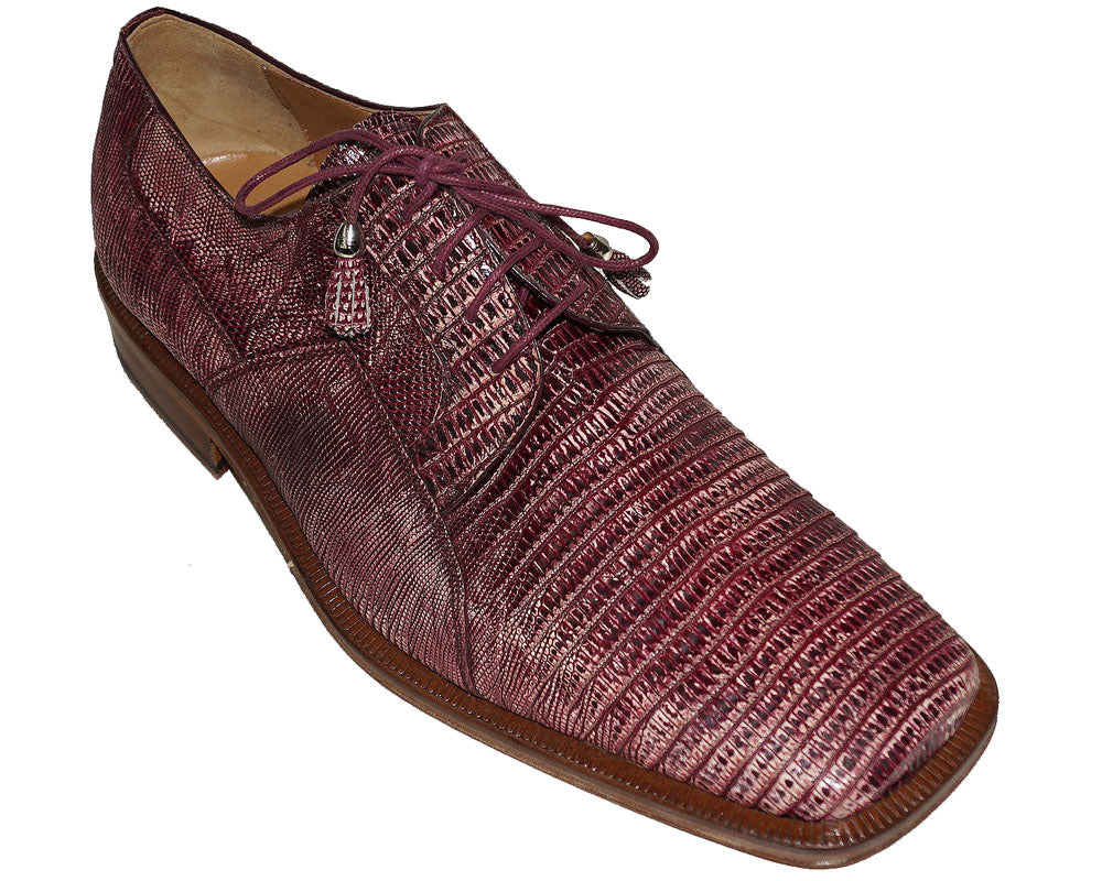 Lizard Shoes display picture 1