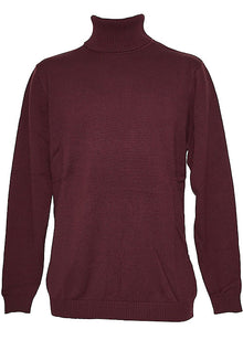 Load image into Gallery viewer, Lavane Turtleneck Sweater # '501-T'

