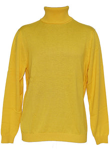 Load image into Gallery viewer, Lavane Turtleneck Sweater # '501-T'
