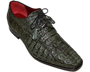 David eden alligator world deals