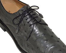 Load image into Gallery viewer, Mezlan Ostrich Lace-Up Shoes # 50244
