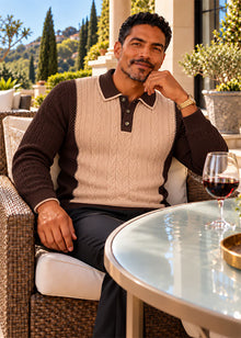 Load image into Gallery viewer, Prestige 3-Button Polo Sweater # SW6556 Brown
