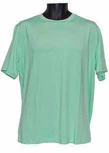 Load image into Gallery viewer, Prestige Silky Feel T-Shirt # DPP600
