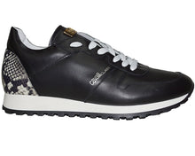 Load image into Gallery viewer, Class Cavalli Fashion Sneaker # 16409
