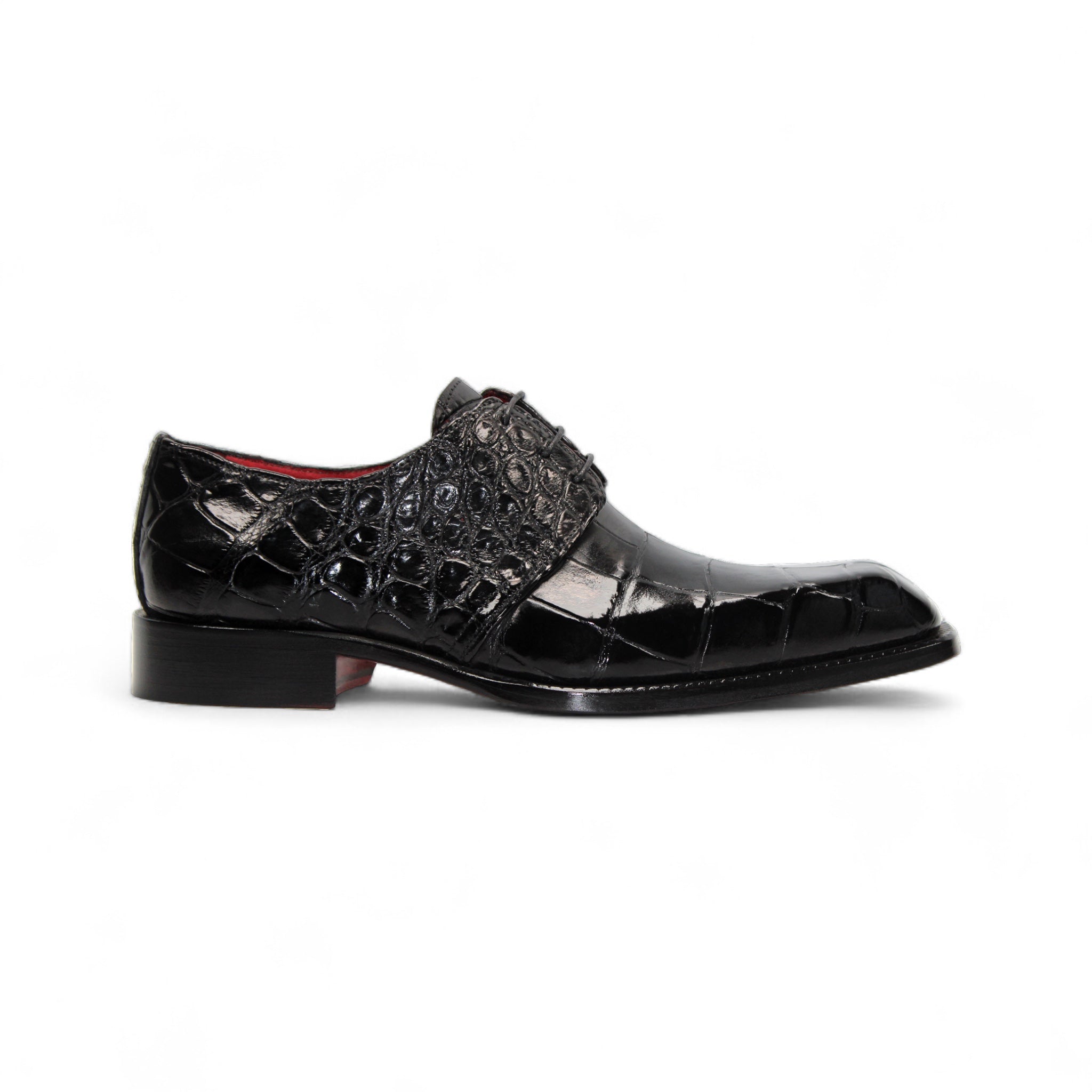 Fennix Italy Catalog – Alligator World