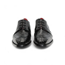 Load image into Gallery viewer, Fennix &#39;Charles&#39; Catalog
