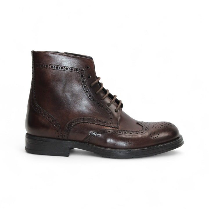 Firmani 'Daniel' Catalog
