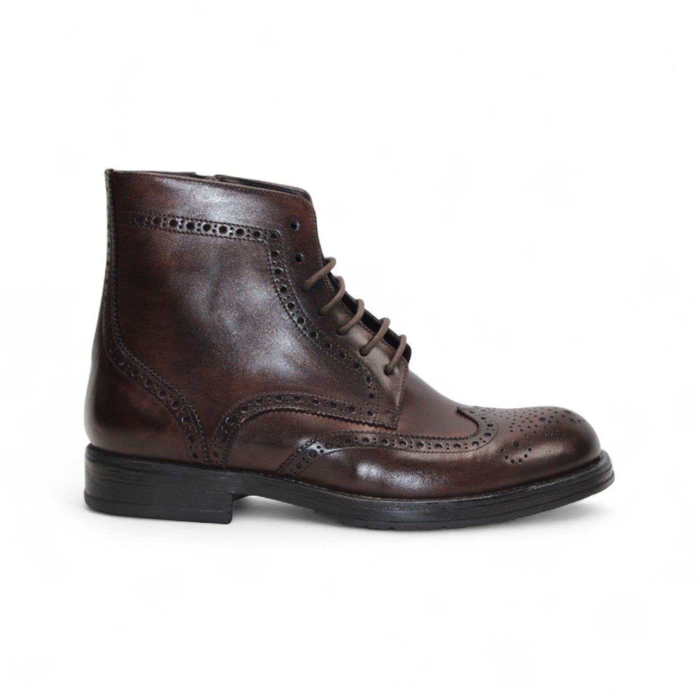 Firmani 'Daniel' Catalog