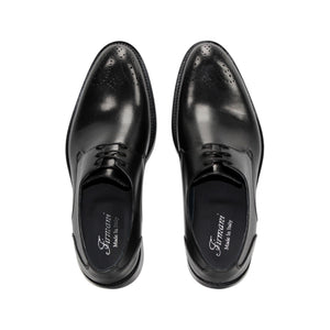 Firmani 'David' Catalog