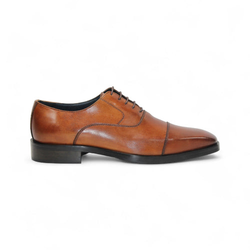 Firmani 'Owen' Catalog
