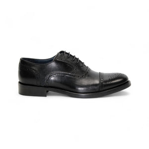 Firmani 'Paul' Catalog