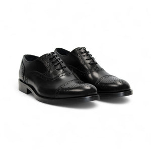 Firmani 'Paul' Catalog