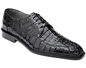 Belvedere 'Chapo' Catalog - Alligator World