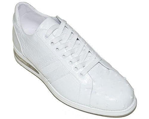 Belvedere Sneaker 'Euro' - Alligator World