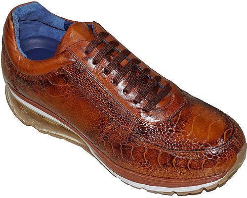 Belvedere 'Todd' Catalog - Alligator World