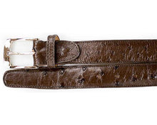 Load image into Gallery viewer, Belvedere Ostrich Belt # 2001 - Alligator World (by Michele Olivieri)
